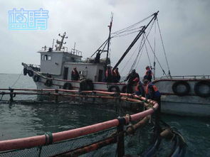 青岛正研制深海智能化网箱系统,大力发展深远海养殖