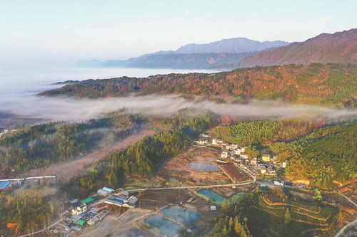 江淮 有礼 徽风皖韵带回家
