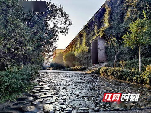 代表委员热议旅游丨李国武 将在湖南旅游发展大会上唱首 私人花园