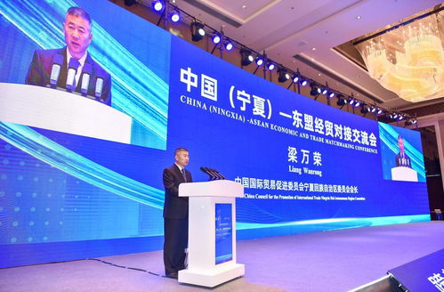 中国 宁夏 东盟经贸对接交流会成功举办