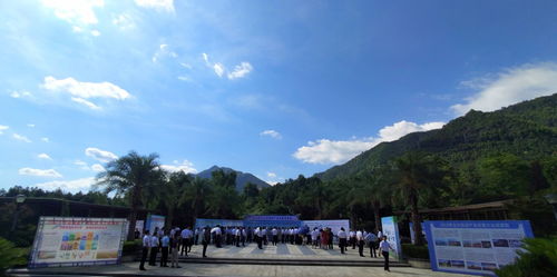 2022年九江市旅游产业发展大会召开