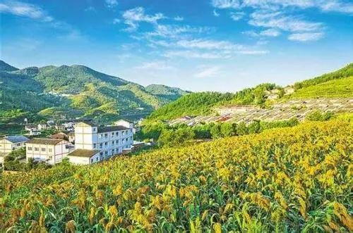 中央一号文件引领乡村旅游步入新时代