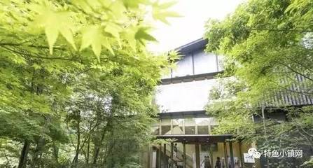 一座日本偏僻的小山村,年收入2亿人民币,只靠单一产品开发就做到了_旅游_网