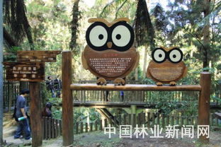 森林旅游产品开发的秘诀在哪儿