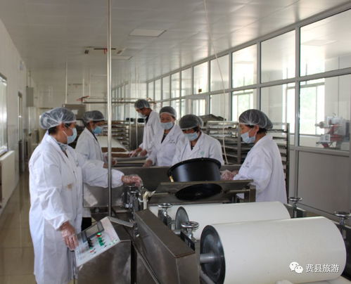 沂蒙小调特色食品公司 发展核桃深加工 助力脱贫攻坚
