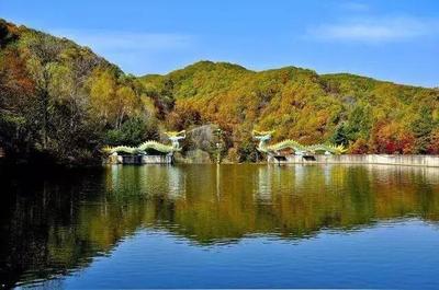 东昌区推进旅游业全区域、全要素、全产业链发展--打造全域旅游新样板