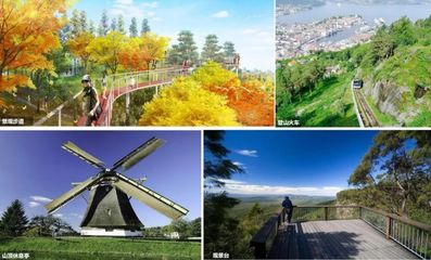 青田东堡山华侨文化旅游项目博物馆一期用地分户测量完成