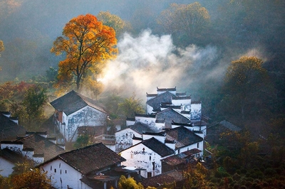 2018上半年乡村旅游收入突破7700亿元，展现巨大发展潜力