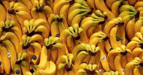 国产香蕉大片  第1张