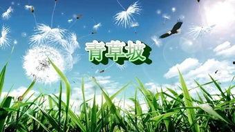 青草国产在线  第2张