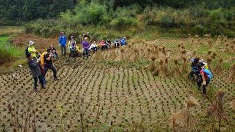 国产野外在线,国产野外在线之旅 第2张 国产野外在线,国产野外在线之旅 第2张