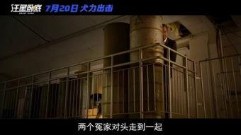 国产a级电影,国产A级电影的璀璨篇章 第3张 国产a级电影,国产A级电影的璀璨篇章 第3张