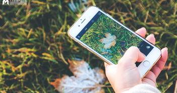 手机看片日韩国产 第3张 手机看片日韩国产 第3张