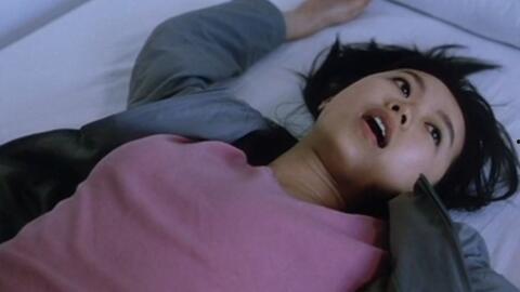 国产伦理在线,探索中国网络伦理新篇章