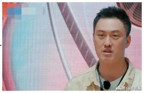 最近的娱乐圈吃瓜,明星恋情曝光，幕后黑手竟是...