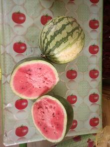 吃瓜帖子,跟风还是理性参与？